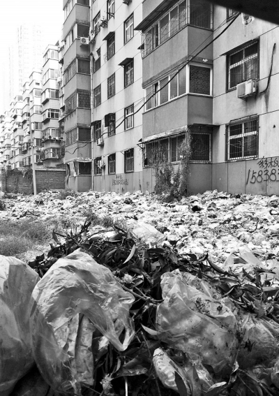 透過擋板縫向內(nèi)看，30多米垃圾已經(jīng)將居民樓包圍。