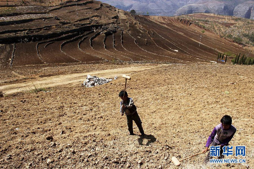 3月16日，在貴州省畢節(jié)市威寧縣斗古鄉(xiāng)中關(guān)村，兩個(gè)孩子幫助家人在干旱的土地上勞動(dòng)。