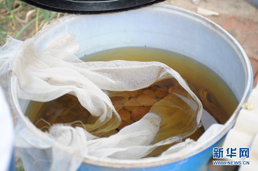 地下水成“綠茶”　污染二十多年該誰治？