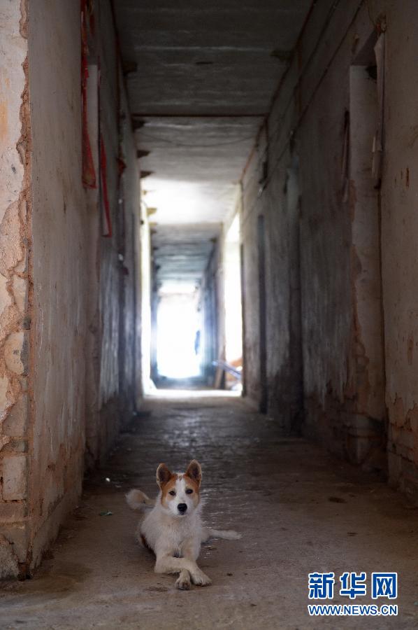 農(nóng)場棚戶區(qū)的最后留守家庭：留下的是回憶，迎來的是幸福