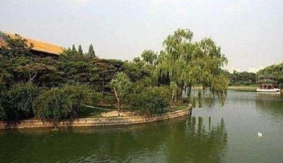 釣魚臺(tái)國賓館垂柳