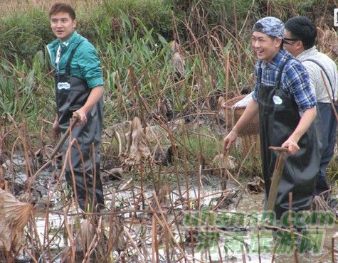 爸爸去哪兒？親密接觸荷花仙子