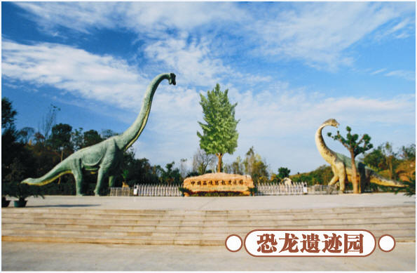 圣誕去哪兒？省內(nèi)歡樂(lè)地推薦