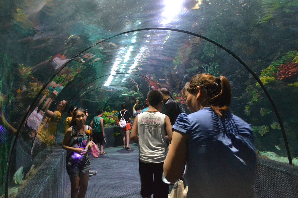 春節(jié)去哪兒？出游地圖告訴您！