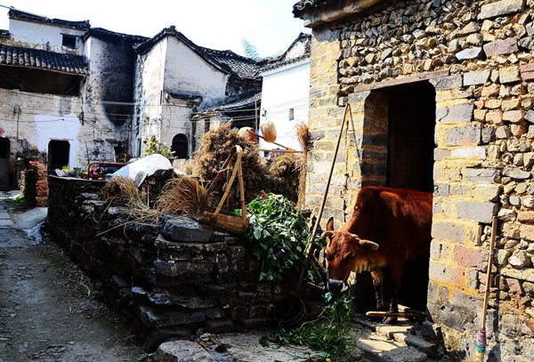 10大古村落，見證鶴壁舊時(shí)光