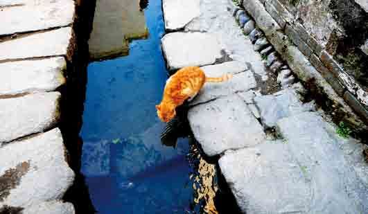 陽(yáng)春三月赴江南 來一場(chǎng)春的約會(huì)