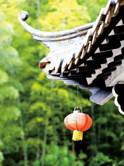 陽(yáng)春三月赴江南 來一場(chǎng)春的約會(huì)