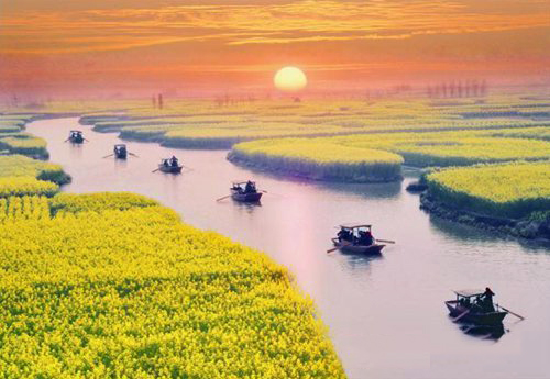 如何拍攝油菜花？達(dá)人教你7個(gè)拍攝技巧