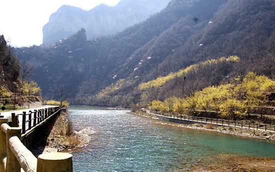 有一種呼喚，叫春天里的蟒河！