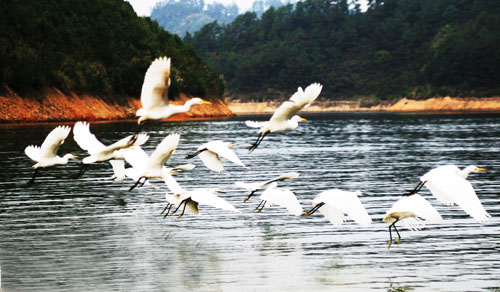 考完去哪兒？千島湖中、高考生門票大優(yōu)惠！