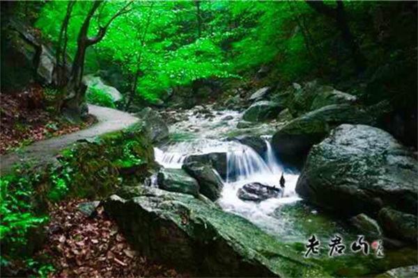 老君山第四屆中原車友狂歡節(jié) 激情房車派對(duì)