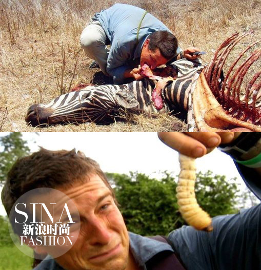 大型動(dòng)物和肉蟲(chóng)子……也都能生吞活剝！