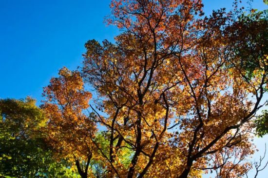 秋天，美好的季節(jié)