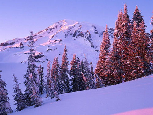 華盛頓，雷尼爾山