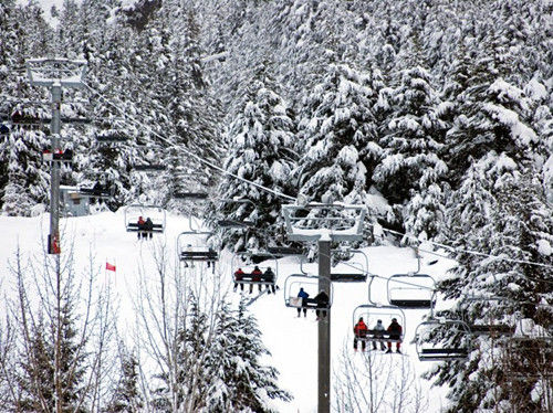 阿拉斯加，阿里耶斯卡