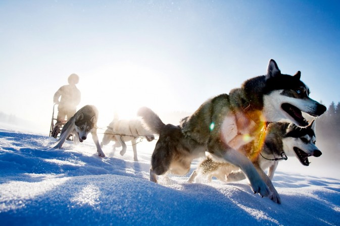 冬季貝加爾,適合享受冰上運動,狗拉雪橇、雪上摩托車、雪地徒步等都是不錯的選擇 F5.6,1/115秒