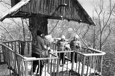 　　clubmed里有來自國外的滑雪教練教兒童滑雪?！? oldsrc=