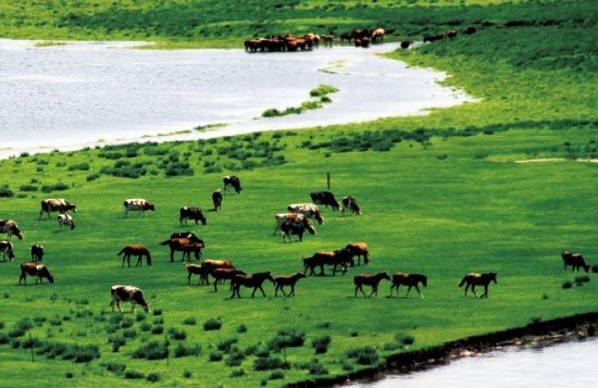 　　處處翠色欲流,馬兒自然入畫。　