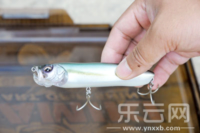 　　又稱擬餌釣魚,起源于歐洲,國內(nèi)翻譯為“路亞”。