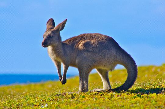 全家出國游去哪里？推薦十佳旅游勝地