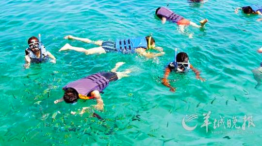 [旅游貼士]浮潛危險多馬虎招意外 附加配備保安全