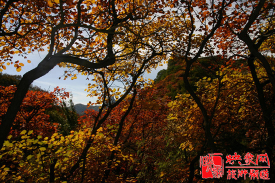2013第七屆中國·邢臺九龍峽金秋紅葉節(jié)