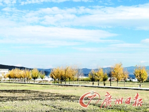 　　大理洱海湖畔美麗的鄉(xiāng)村景色。