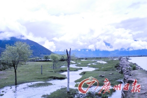 小路的一側(cè)是小溪,另一側(cè)是河流。