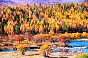 　　呼倫貝爾秋色。