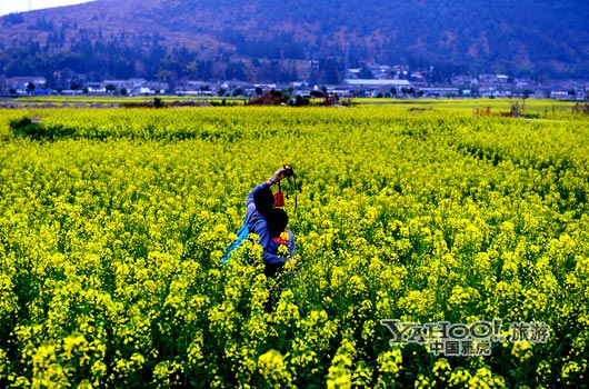 　　不論從人文氣息還是田園自然風(fēng)光,都值得我們?？俊?圖片來(lái)源:CFP)