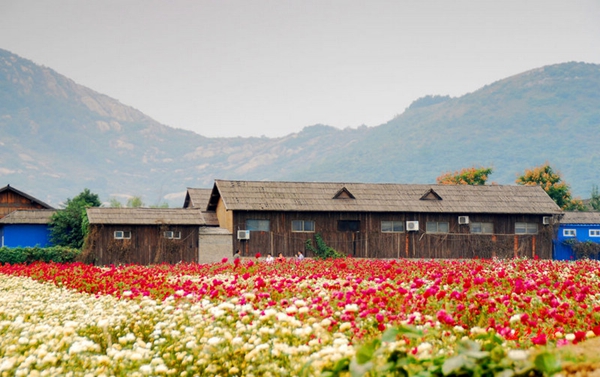 別樣蜜月，河南最適宜新婚度假的景區(qū)