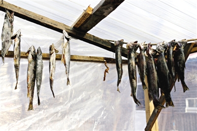 長(zhǎng)白山腳下一家小餐館內(nèi)晾曬的冷水魚。