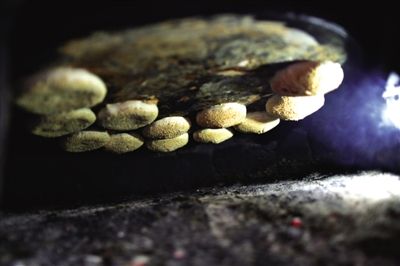 吊爐燒餅是黃驊最典型的面食之一，這種手藝在一些老院子里已經(jīng)傳承了上百年時間。