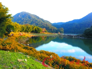 初冬的石門森林公園色彩絢爛。