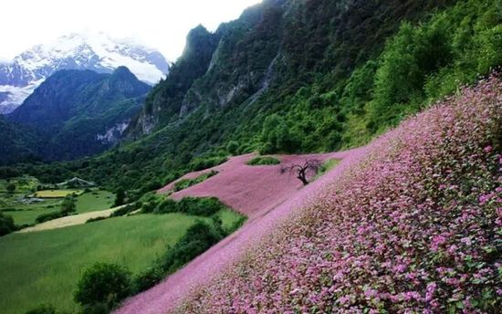 云南的另一個(gè)天堂 我約你一起去！
