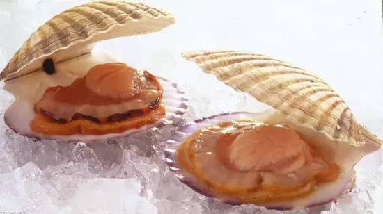 秋季最適合吃的海鮮是這10種 你吃對(duì)了嗎？