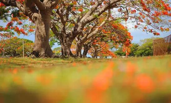 適合在冬天旅游的十個(gè)絕美海島！