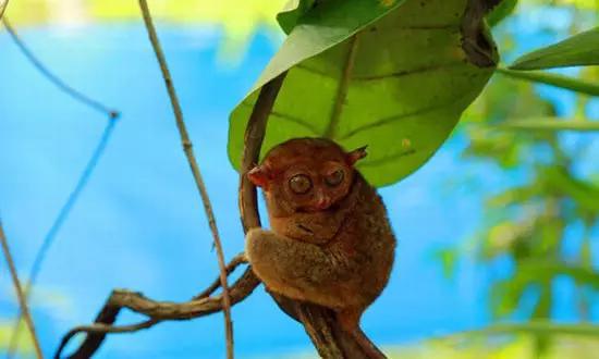 適合在冬天旅游的十個(gè)絕美海島！