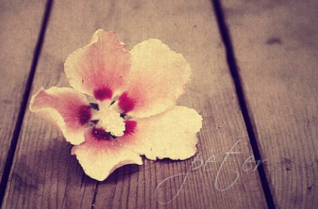 箬耶一周星座運(yùn)勢播報2013.11.18-11.24