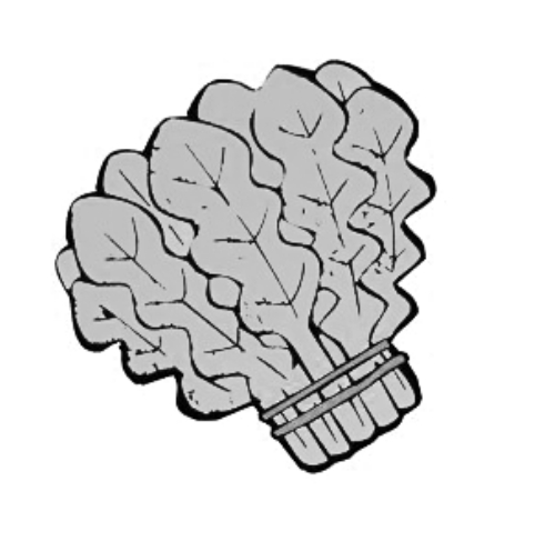 雪后菜價瘋漲15倍？沒恁夸張 元旦豬肉雞蛋或漲價