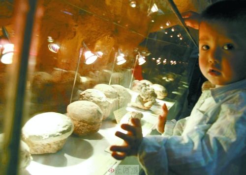 恐龍蛋，這回見識了吧！