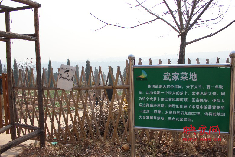 武家菜地就是這，據(jù)說里面有個特大的蘿卜