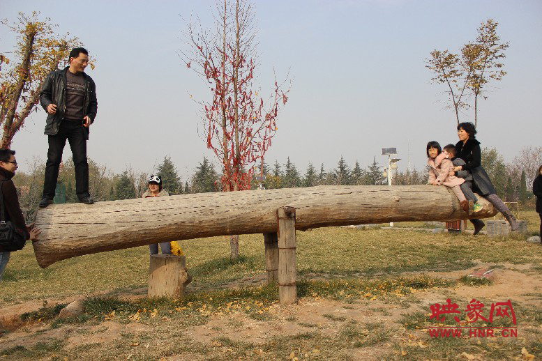 巨大的蹺蹺板，一棵樹。。?？赐娴亩噜? oldsrc=