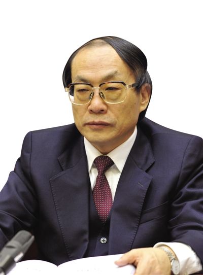 劉志軍（資料圖片）。新華社發(fā)