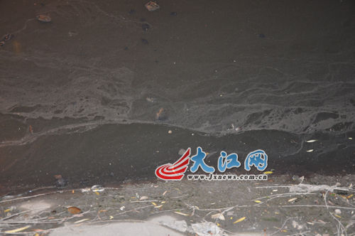 19日晚上的玉帶河，紅色河水變回灰綠色。