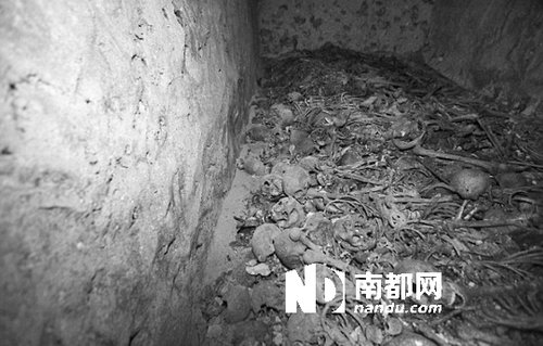 　5月29日，在以色列特拉維夫市雅法地區(qū)，一處集體墳?zāi)贡话l(fā)現(xiàn)。