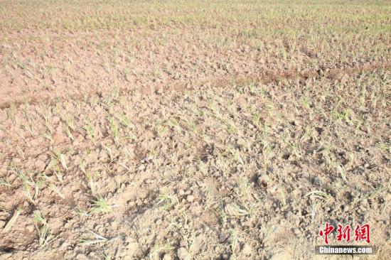 2014年7月31日早晨，浙江紹興市區(qū)蔬菜批發(fā)市場旁邊的土地已經(jīng)發(fā)生開裂。