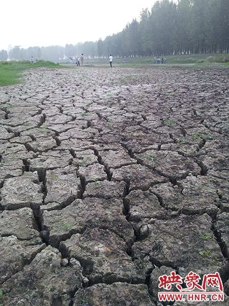 澎河匯入白龜山水庫處，河床已經(jīng)全部干裂，等待丹江水的到來。