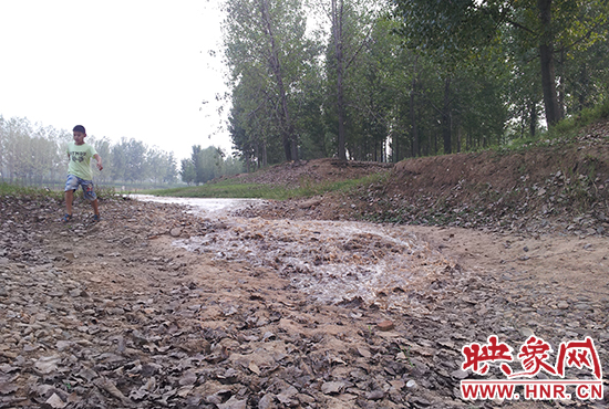 18日丹江水沿澎河流向白龜山水庫，孩子歡騰起來，跟著水頭奔跑。