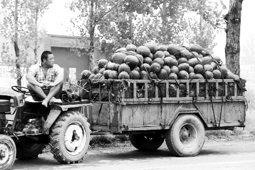 　看著滿滿一車(chē)瓜，一瓜農(nóng)愁眉不展。